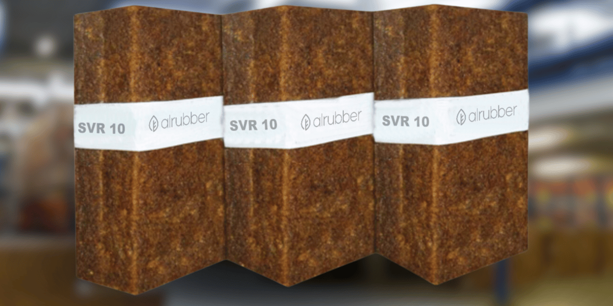 SVR 10